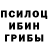 Галлюциногенные грибы GOLDEN TEACHER Utkarsh Shirodkar
