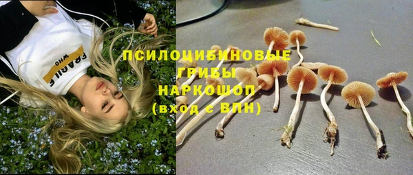 индика Лихославль