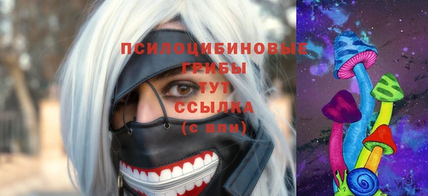 прущая мука Кукмор