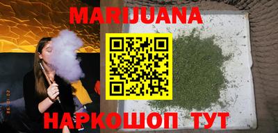 сатива Гагарин