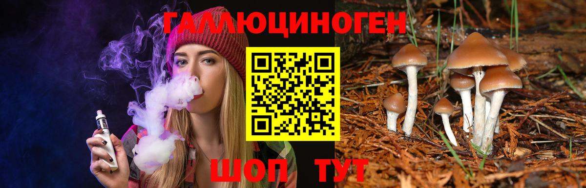 Галлюциногенные грибы прущие грибы  Нижний Новгород 