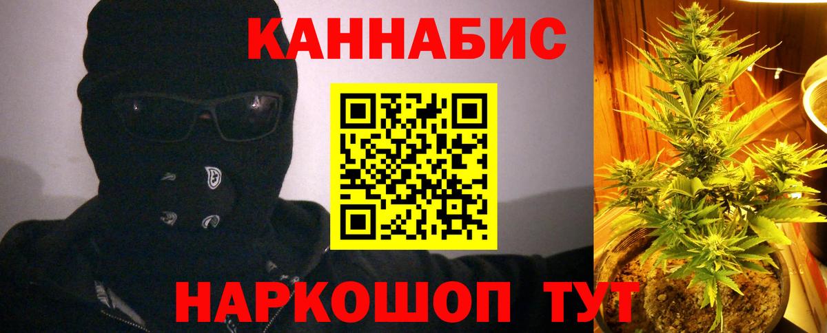 Бошки Шишки гибрид  Бошки марихуана конопля  МАРИХУАНА гибрид  Вход с VPN  Нижний Новгород  Шишки марихуана план 